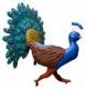 peacock's Avatar